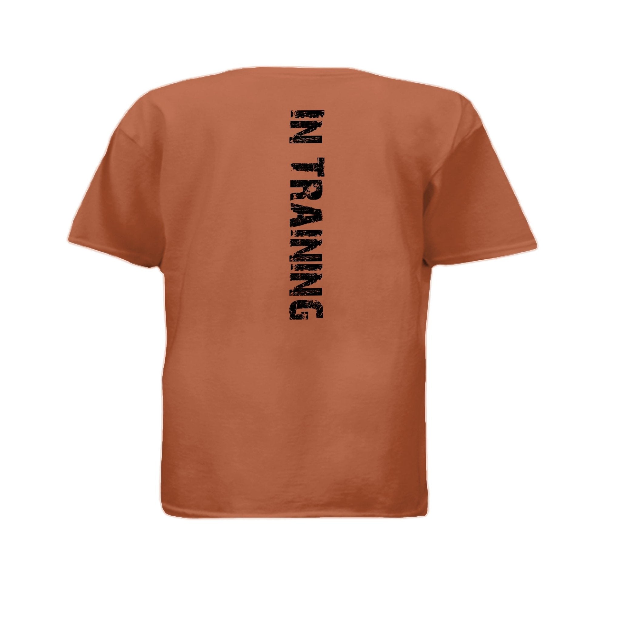 Aydan custom tshirt - Iron & Ink Apparelironink tattoo fitness clothing