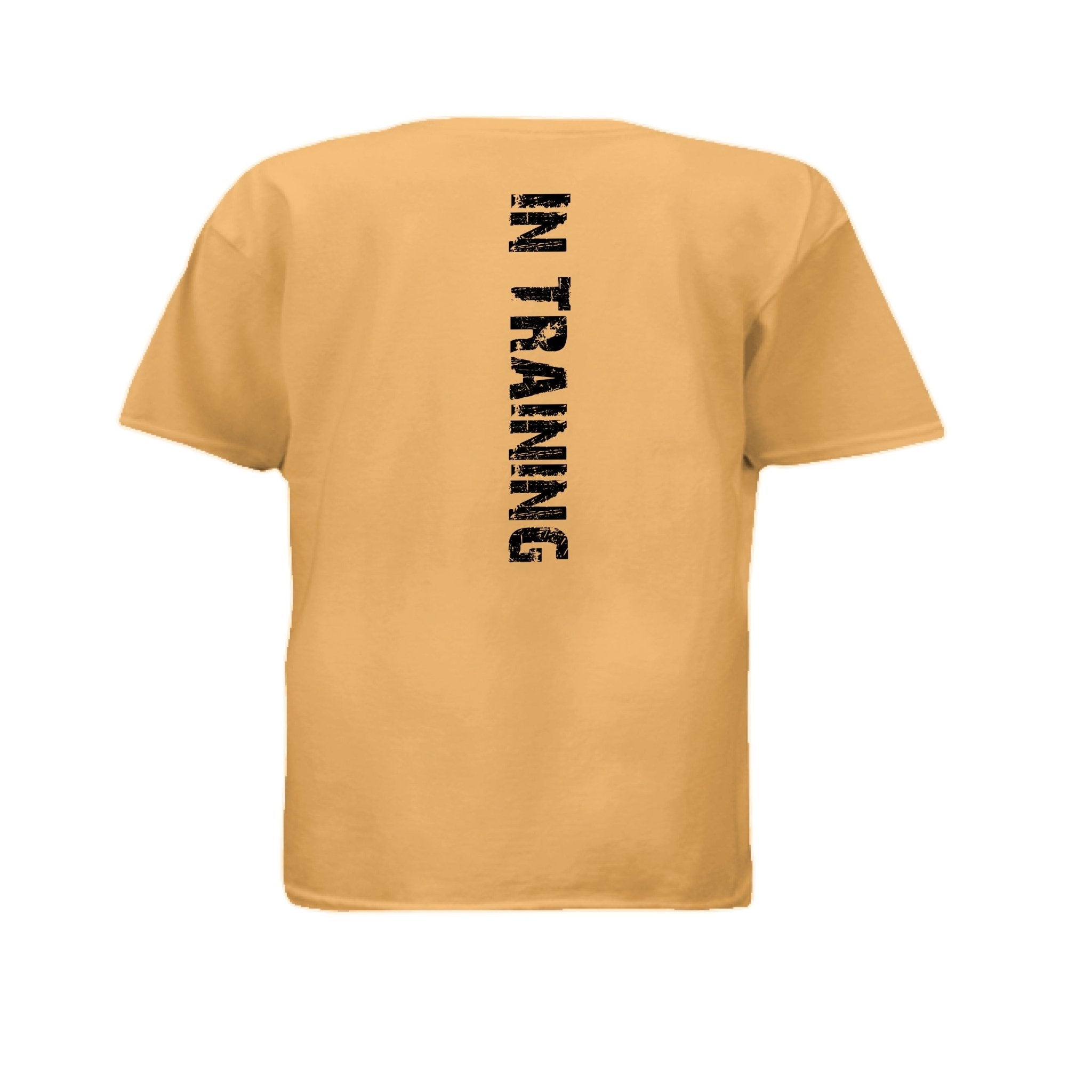 Aydan custom tshirt - Iron & Ink Apparelironink tattoo fitness clothing